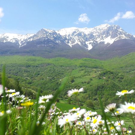 Arsita La Via Del Parcoヴィラ エクステリア 写真