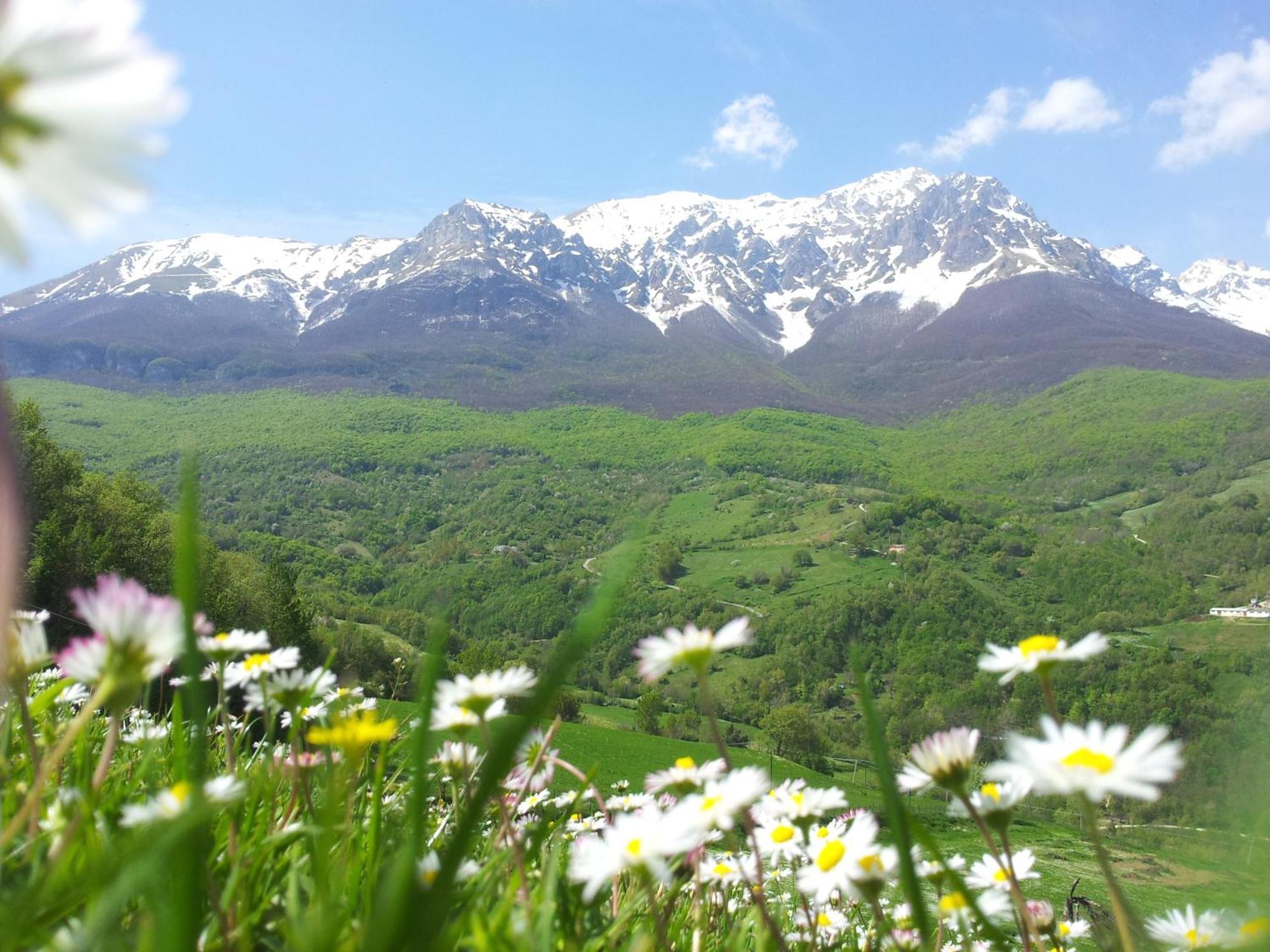 Arsita La Via Del Parcoヴィラ エクステリア 写真