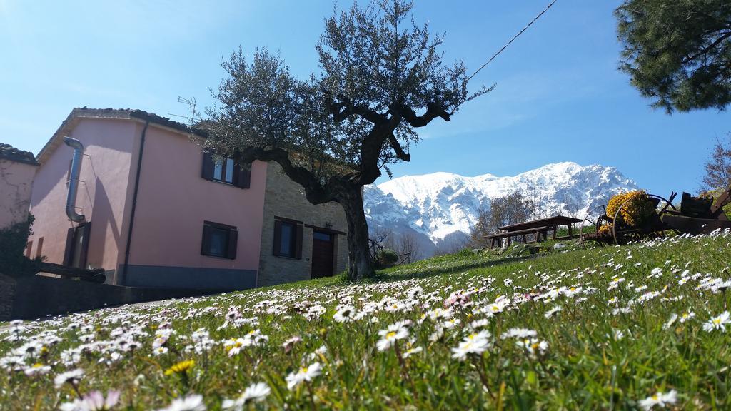 Arsita La Via Del Parcoヴィラ エクステリア 写真